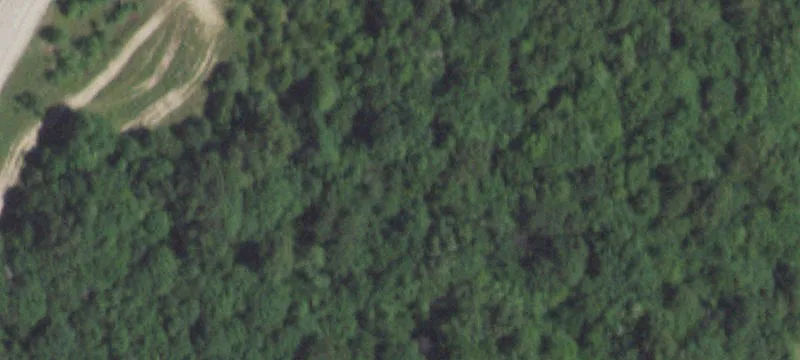 Neosho, MO 64850