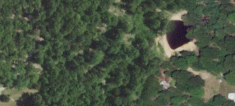 Grovespring, MO 65662