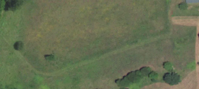 Grovespring, MO 65662