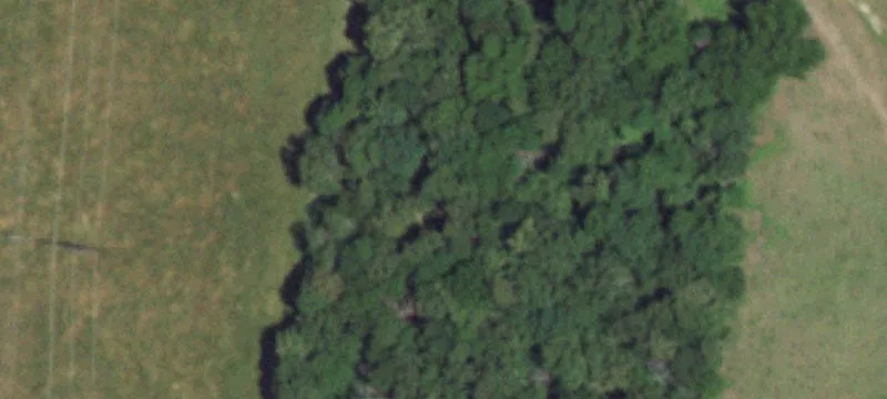Grovespring, MO 65662