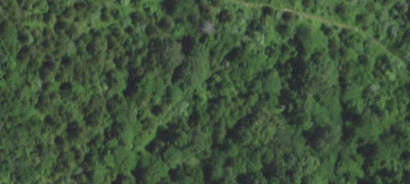 Grovespring, MO 65662