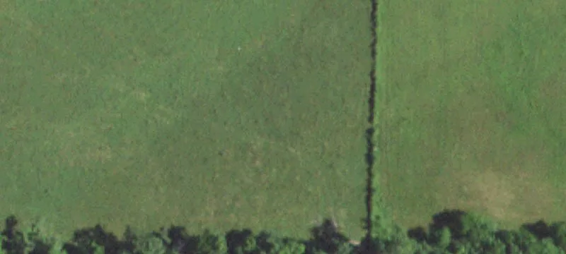Norwood, MO 65717
