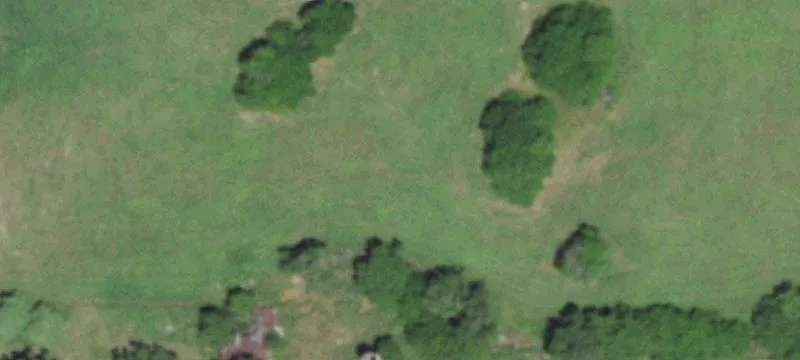 1770 Farm Rd 45