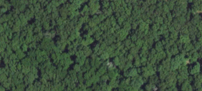 Grovespring, MO 65662
