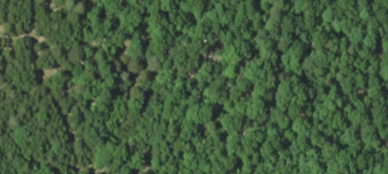 10740 County Rd 421