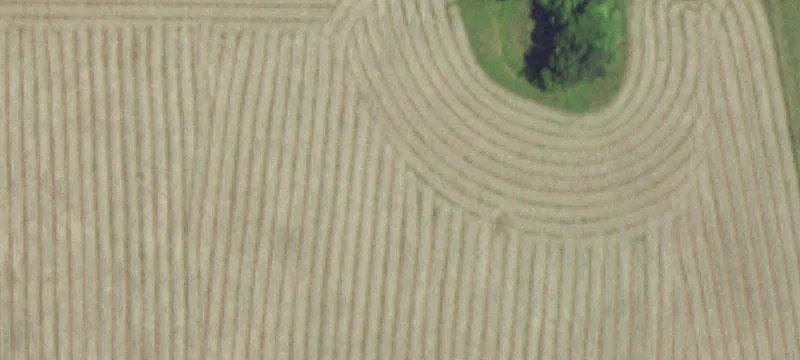 Norwood, MO 65717