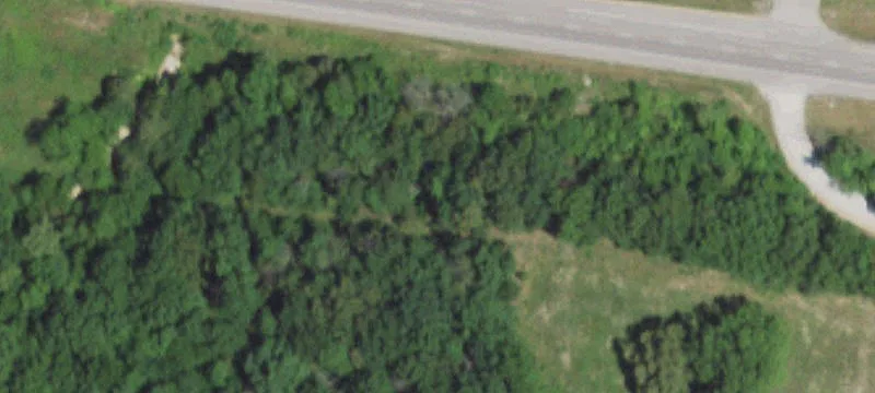 Mansfield, MO 65704