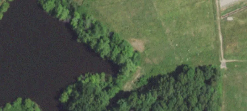 Grovespring, MO 65662