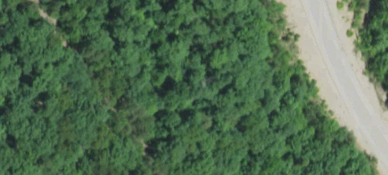 Bunker, MO 63629