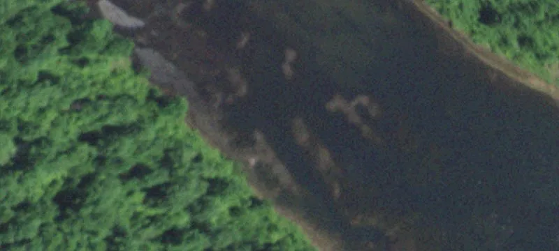 Bunker, MO 63629