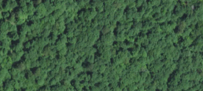 Bunker, MO 63629
