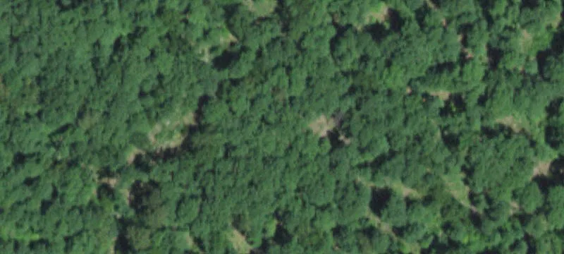 Bunker, MO 63629