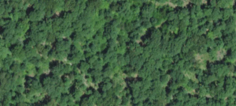 Bunker, MO 63629