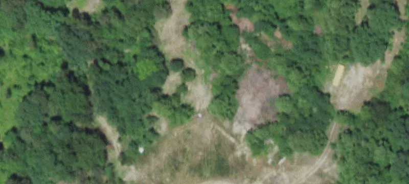 Bunker, MO 63629