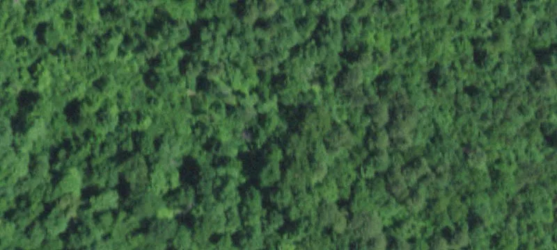 Bunker, MO 63629