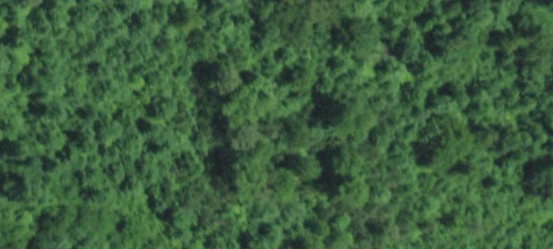 Bunker, MO 63629