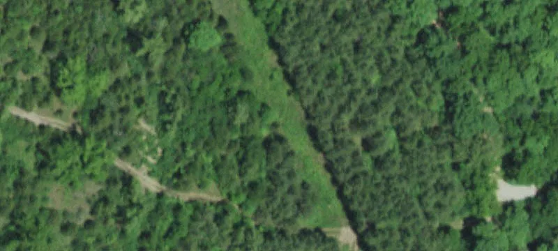 Bunker, MO 63629
