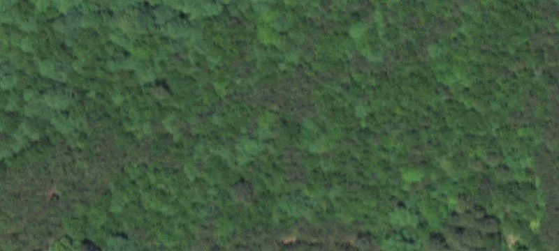 Bunker, MO 63629
