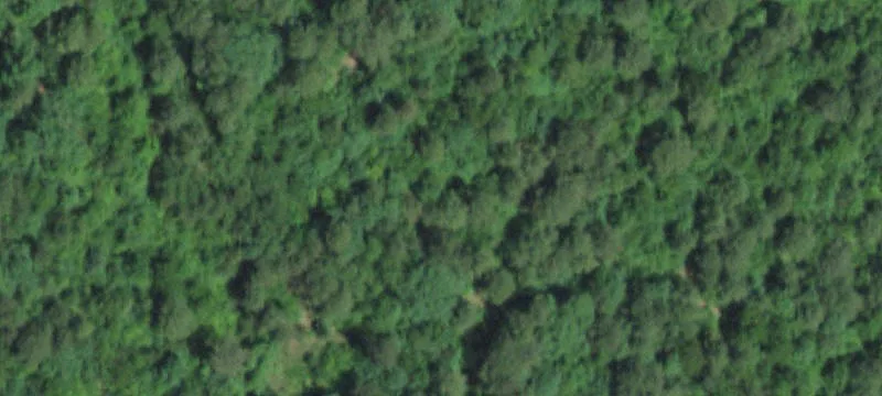 Bunker, MO 63629