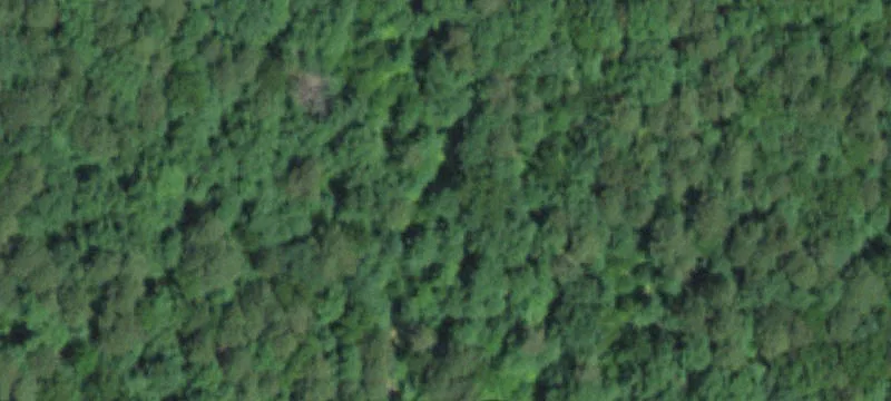 Bunker, MO 63629