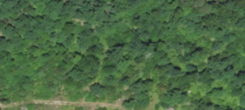 Bunker, MO 63629