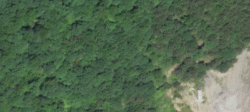 Bunker, MO 63629