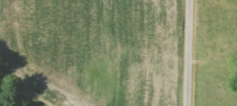 Miller, MO 65707