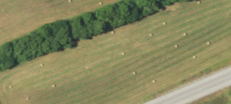 Verona, MO 65769