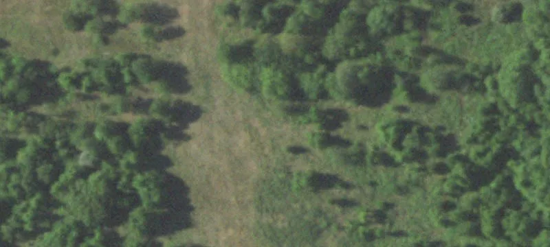 Pierce City, MO 65723