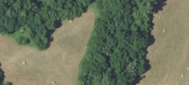 Hwy 97