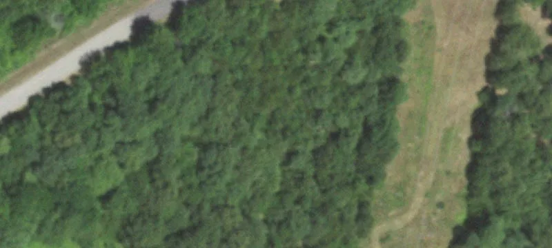 Ash Grove, MO 65604