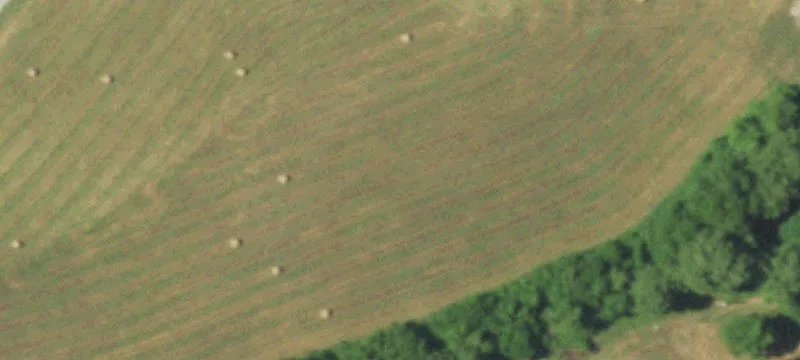 Verona, MO 65769