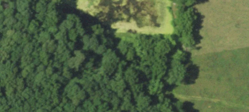 Verona, MO 65769
