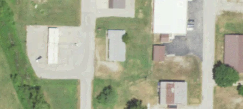 Sycamore