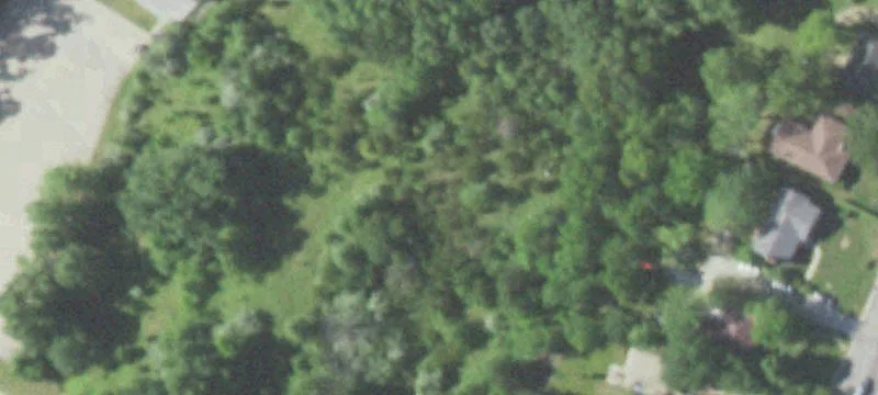 315 Flora Dr