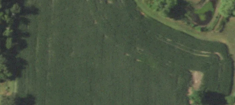Cassville, MO 65625
