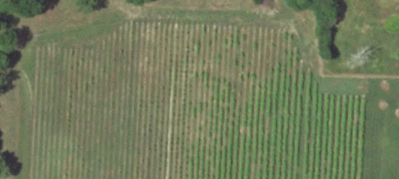 8385 Us Hwy 60