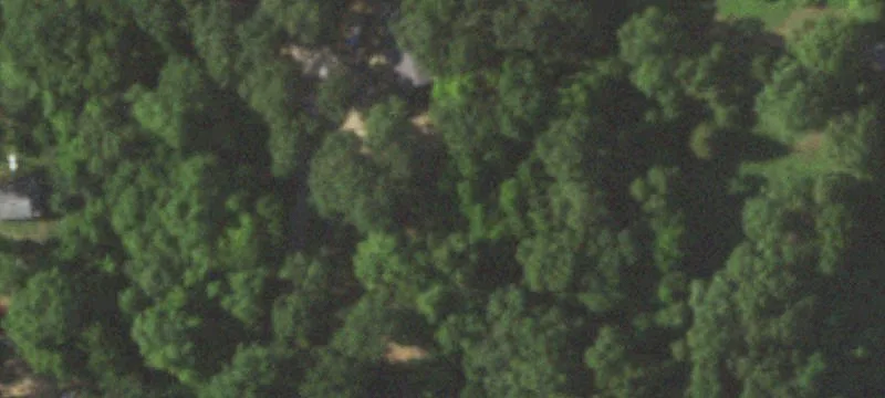 Seligman, MO 65745