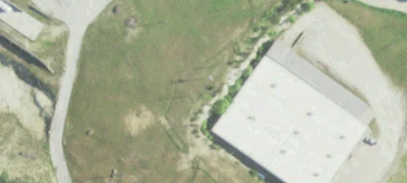 Hammann Dr