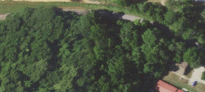Crane, MO 65633
