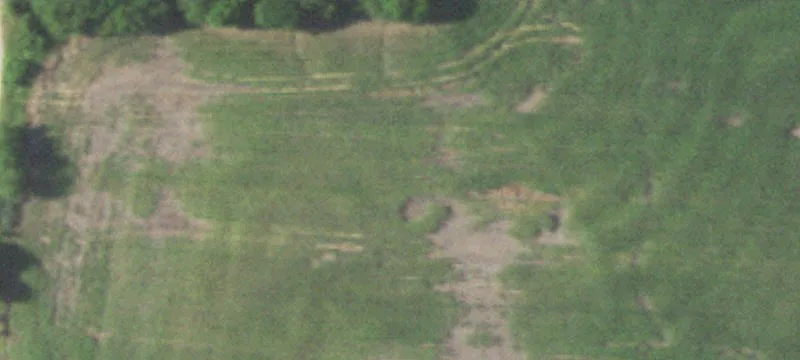 Crane, MO 65633