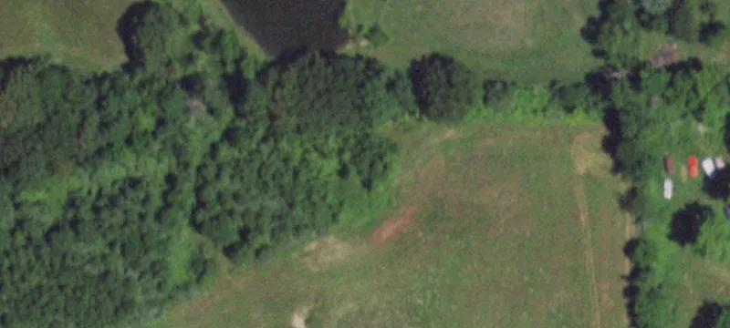 55 Ethlyn Rd