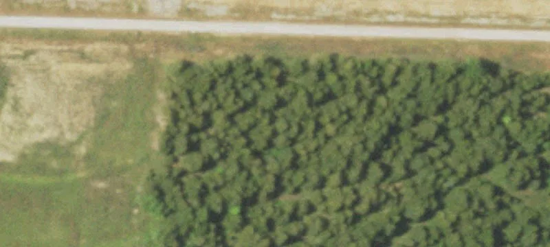 Marshfield, MO 65706