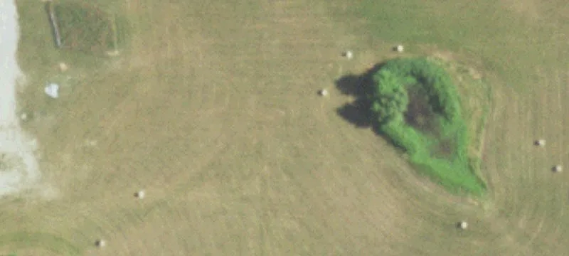 Rogersville, MO 65742