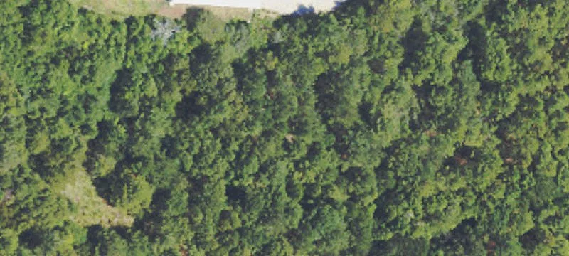 11421 Bethel Rd