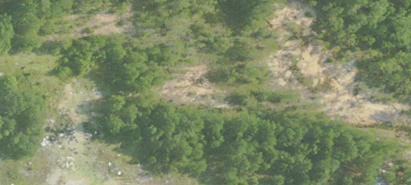 18294 Hwy 49