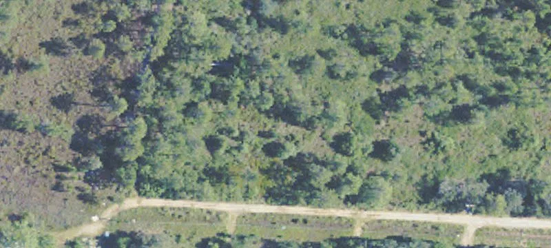 14101 Hwy 613