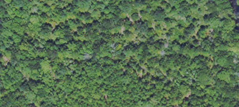 13524 Scruggs Ln