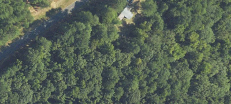 649 Mt Pilgrim Rd