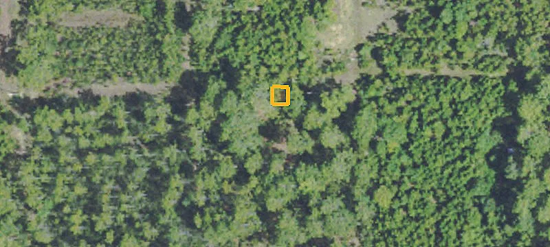 9705 Jim Ramsay Rd